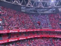 �������� �϶��Ͷ�����VS������ 20240922