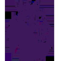 �г� ��������vs÷�ݿͼ�20251122